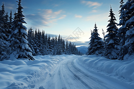 冬日林间白雪飘落的美丽景观背景图片