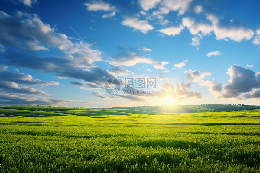 夏日阳光下的乡村草原图片