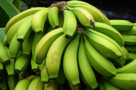 新鲜收获的香蕉背景图片