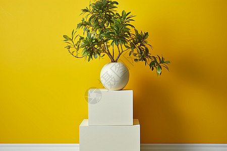 黄色背景上的植物装饰图片