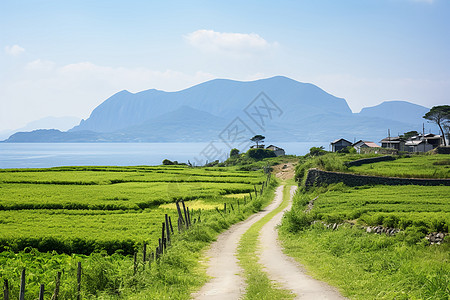 湖畔青山下一条黄土小路图片