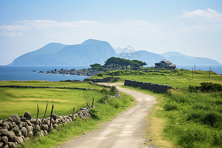 农田与山脉的风景图片