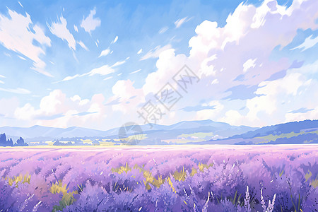 紫色田野图片