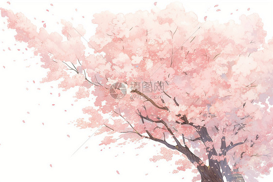 一棵娇嫩的樱花树图片