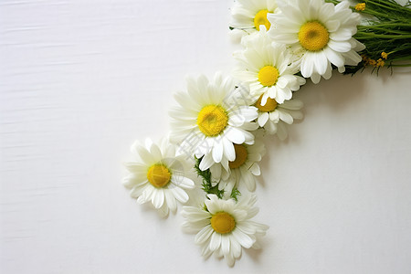 一束白色鲜花背景图片