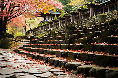 秋日寺庙石阶图片