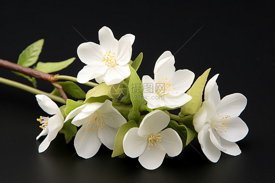 优雅的白色花束图片
