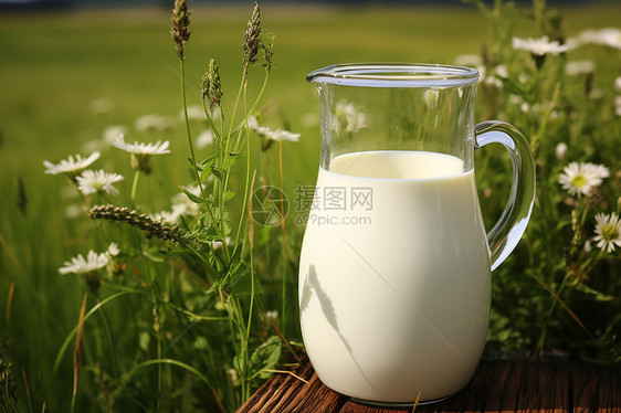 健康的营养牛奶图片