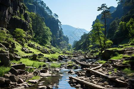 峡谷中的流水小溪图片