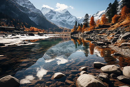 流水清澈清澈的森林河流背景