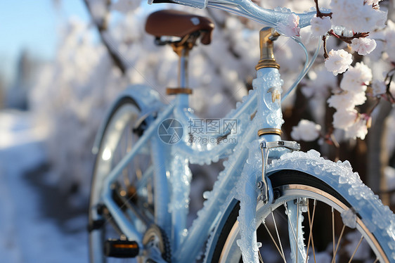 自行车上的雪图片