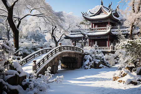 雪花飘落在园子里图片