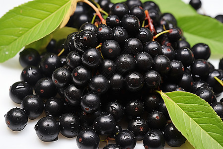 桌面上新鲜的黑色浆果背景图片