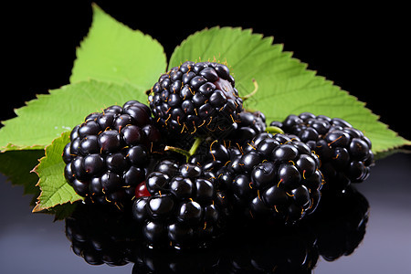健康美味的黑色树莓图片