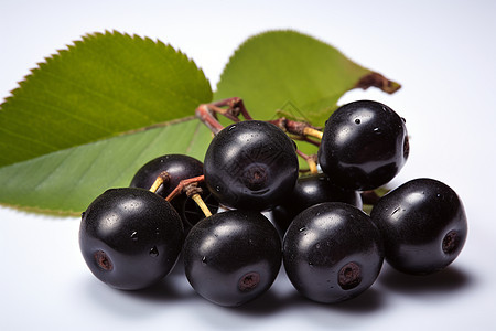 一串成熟的黑色果子图片