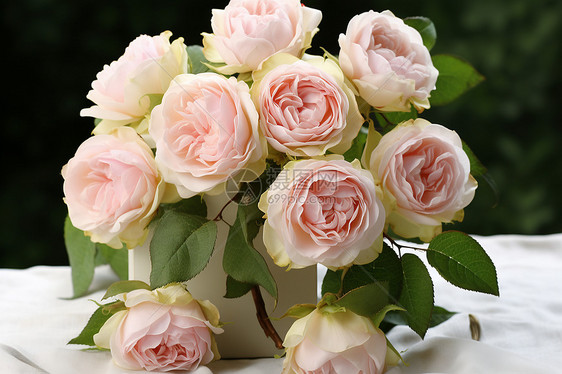 盛开的玫瑰花束图片
