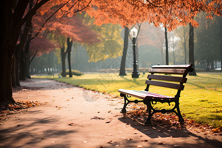 秋季户外宁静的公园图片