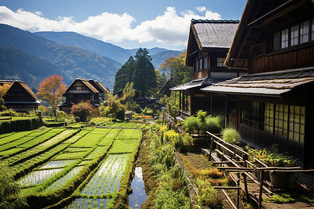 欧洲山谷的田园风光图片