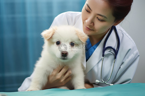 宠物医生照顾小狗图片