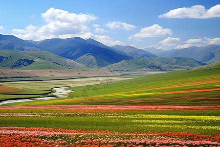 山野中的花海图片