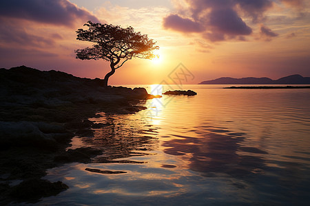 夕阳下小岛上孤独的树图片