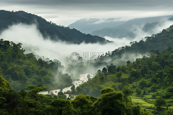 仙境之旅图片