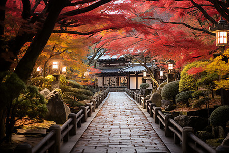日本京都小径图片