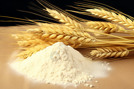小麦的粉末图片