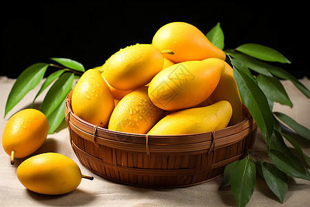 热带黄金芒果背景图片