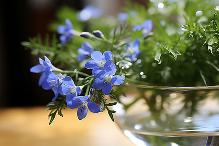 花瓶里的蓝色小花图片