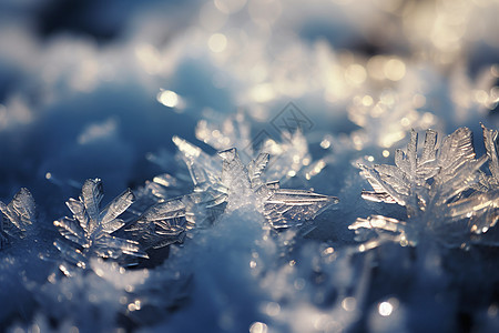 漂亮的冬日冰晶图片