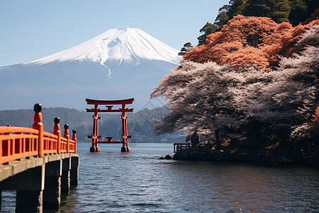 美丽的富士山背景图片