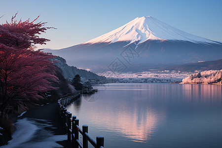 冰天雪地下的富士山图片