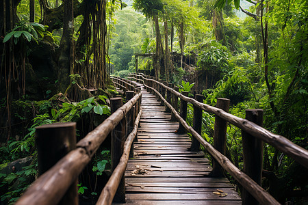 森林中建筑的桥梁图片