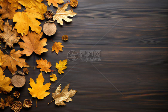 木桌上的秋叶图片