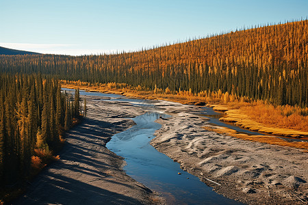 冬季森林河流背景图片