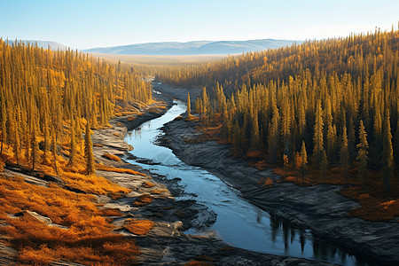 森林河流风景图片