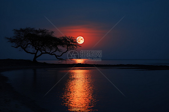 夜晚海边的红月风景图片