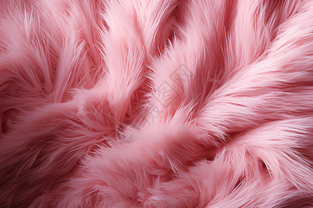粉色毛皮的柔软纹理图片