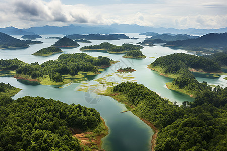 翠绿湖泊里的小岛图片