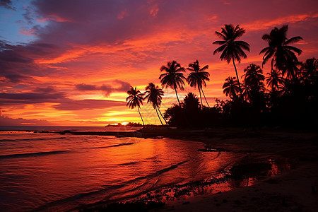 沙滩日落背景图片