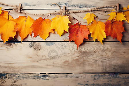 秋意盎然的枫叶木板背景图片
