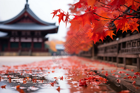 落叶飘落的秋季古建筑公园景观图片