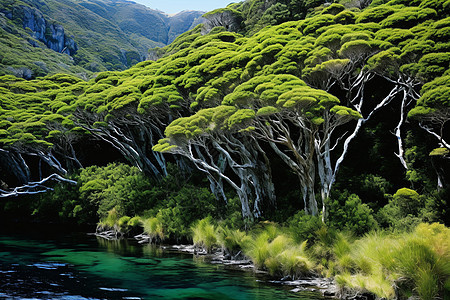 山川叠翠的自然风光图片