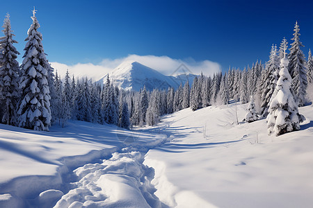 冬季壮丽的雪山背景图片