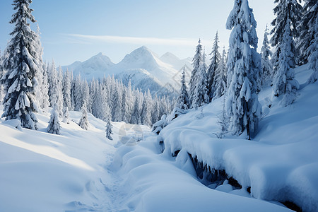 冬季雪后美丽的山间景观图片