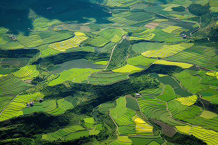 俯瞰绿色农业背景图片