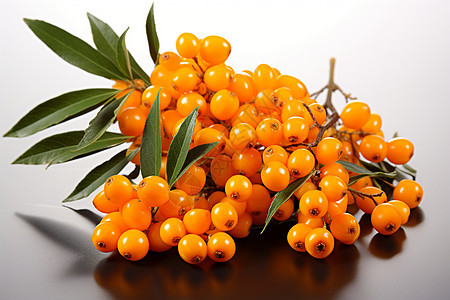 一束橙色浆果背景图片