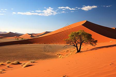 壮观的沙漠景观图片