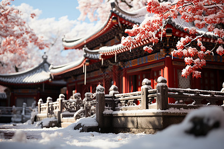 冬日红屋雪景红屋檐高清图片